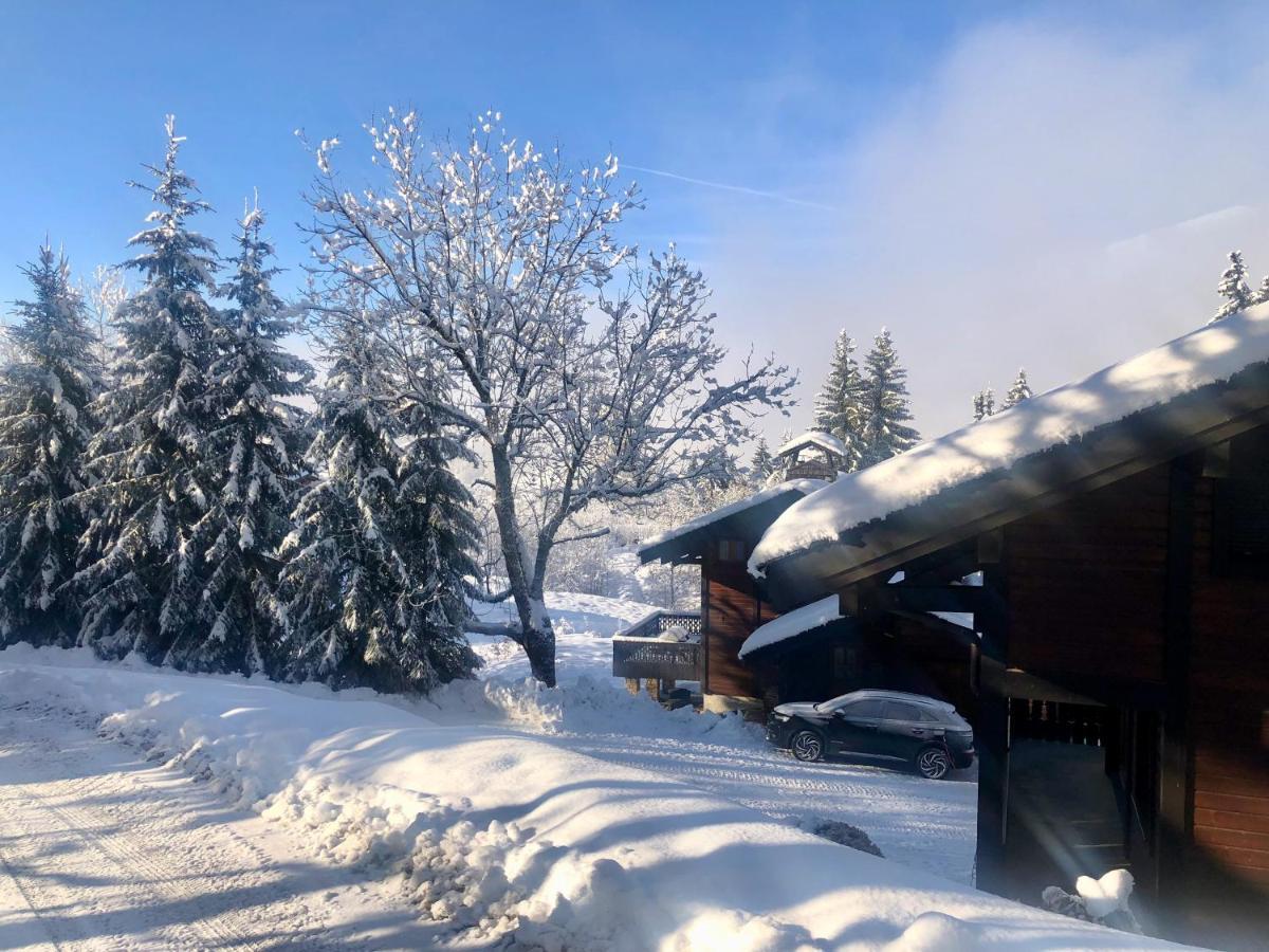 Le Chalet De Nabor Les Gets Exterior foto
